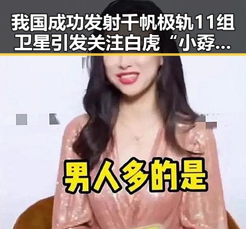 我国成功发射千帆极轨11组卫星引发关注 白虎“小孬”意外离世成焦点